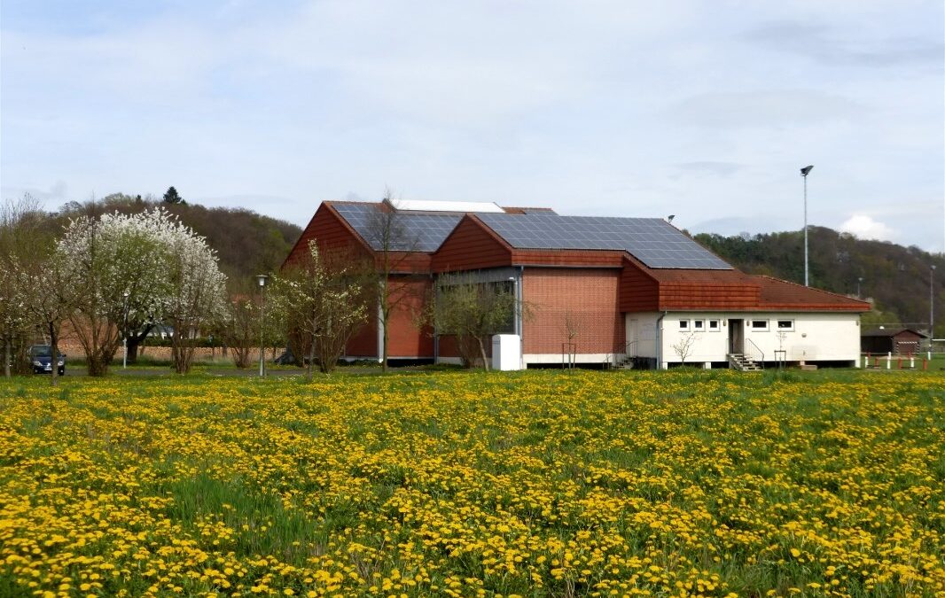 Sportabzeichen-Training- & Prüfungen